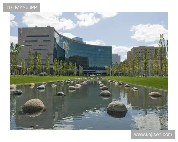 亚博YaBo官网地址官方入口查询方法，轻松找到最可靠的登录网址入口