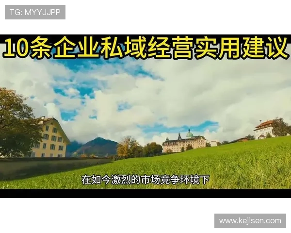 确保开云金年会登录安全的实用建议与个人账号保护技巧