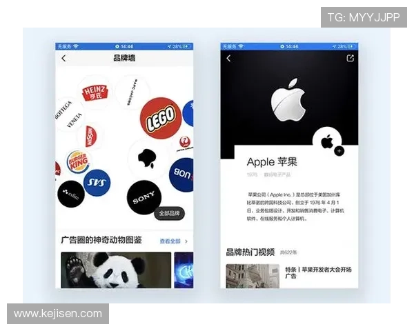 开云中国电子官网常见问题解答与用户体验优化建议
